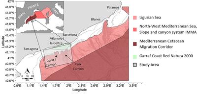 Ship Strike Risk for Fin Whales (Balaenoptera physalus) Off the Garraf coast, Northwest Mediterranean Sea